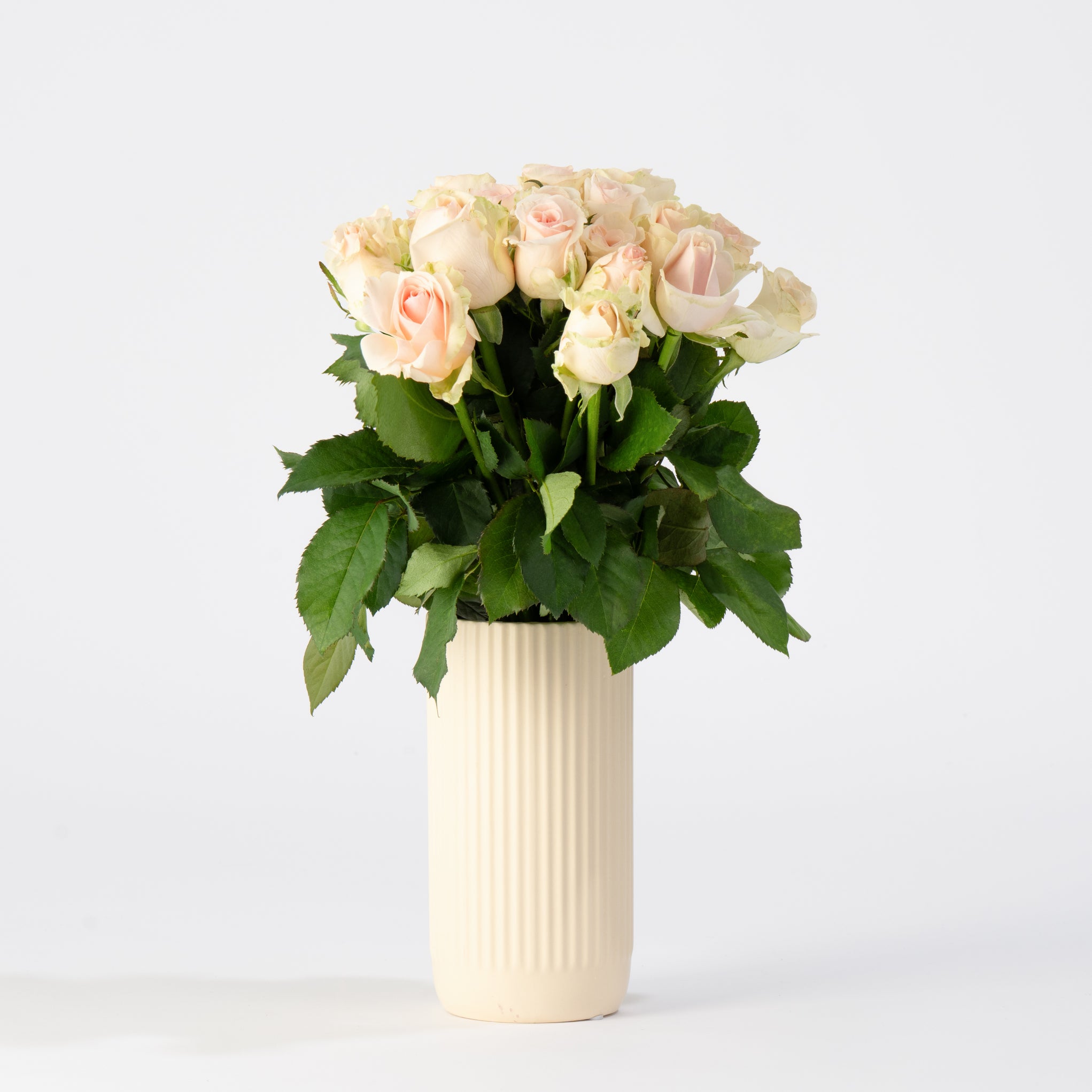 The Rose Affair - Premium White Roses