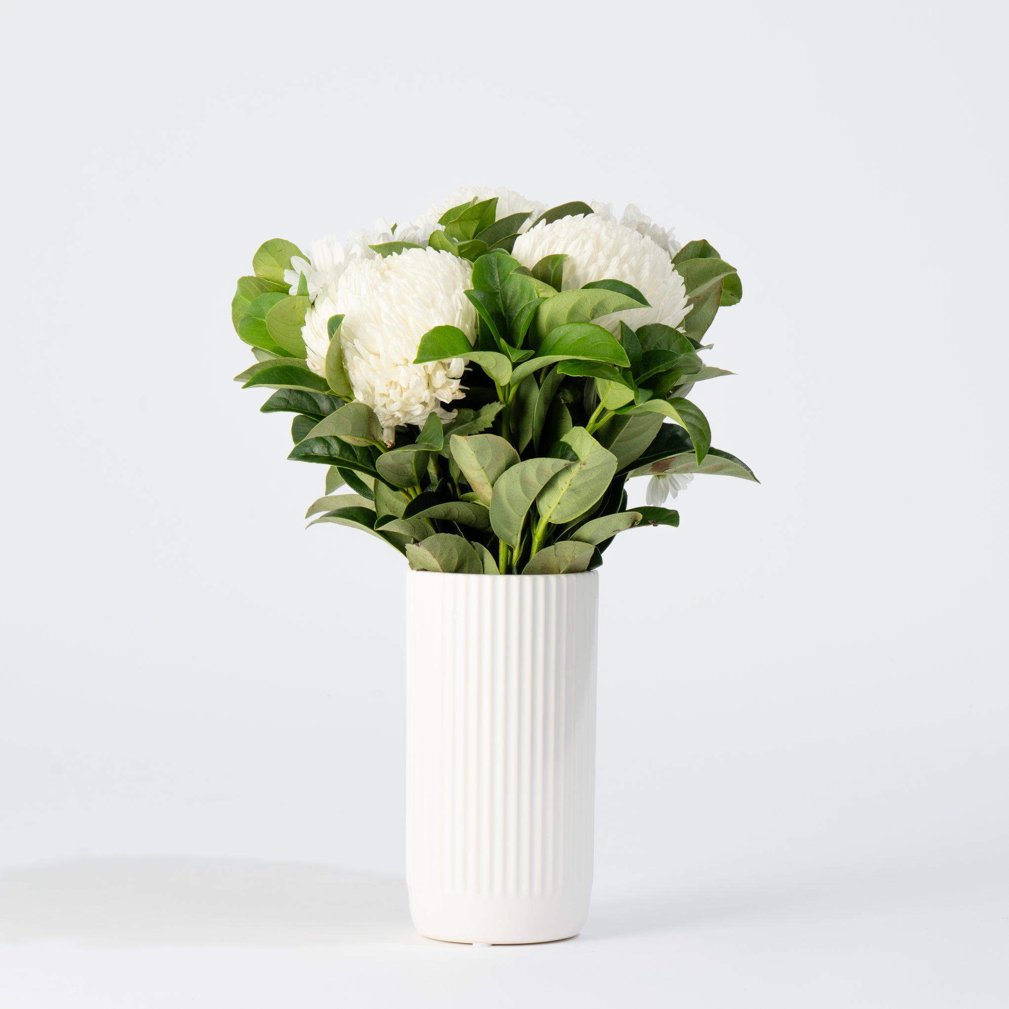 The Velvet Bloom - Premium Disbuds Bouquet