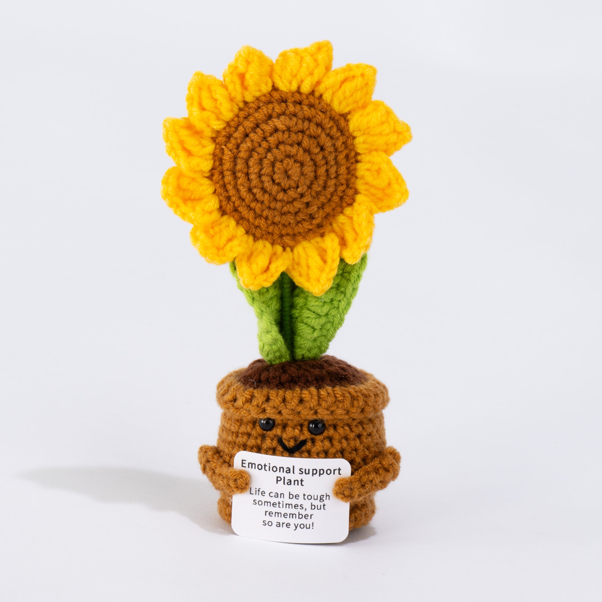 Little Ray of Sunshine