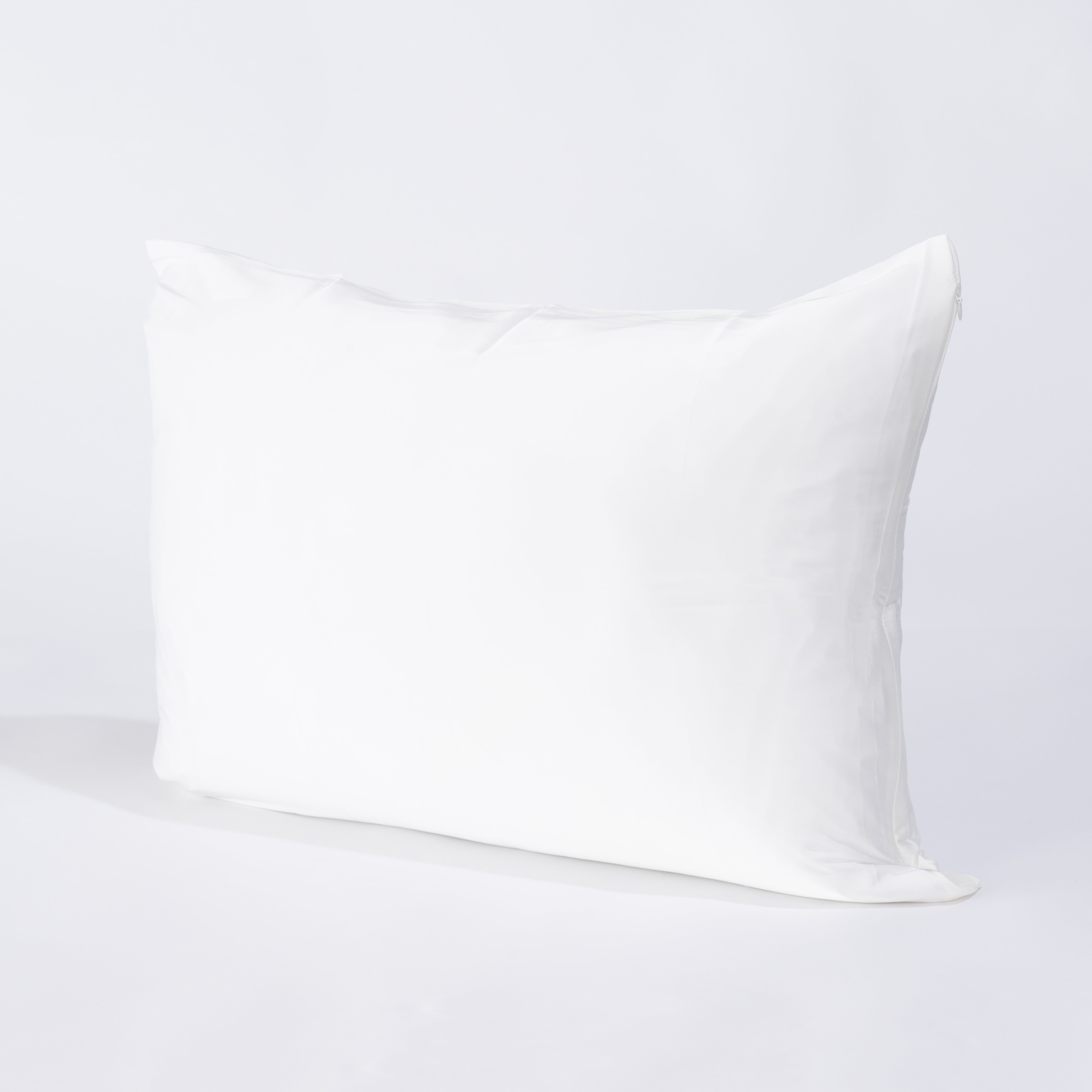 Silk Pillow Case