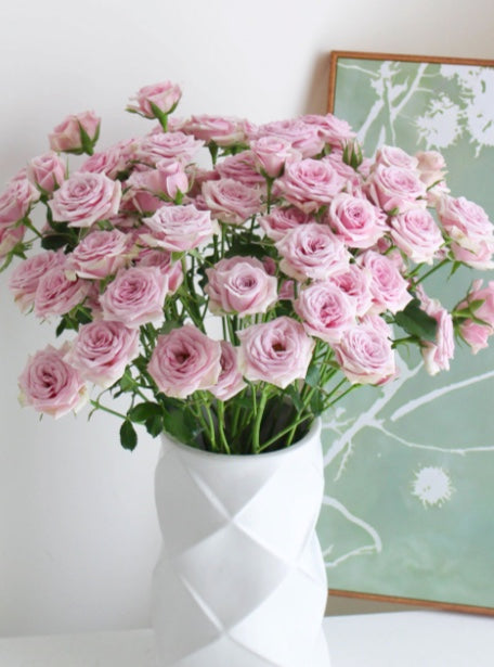 Spray Roses