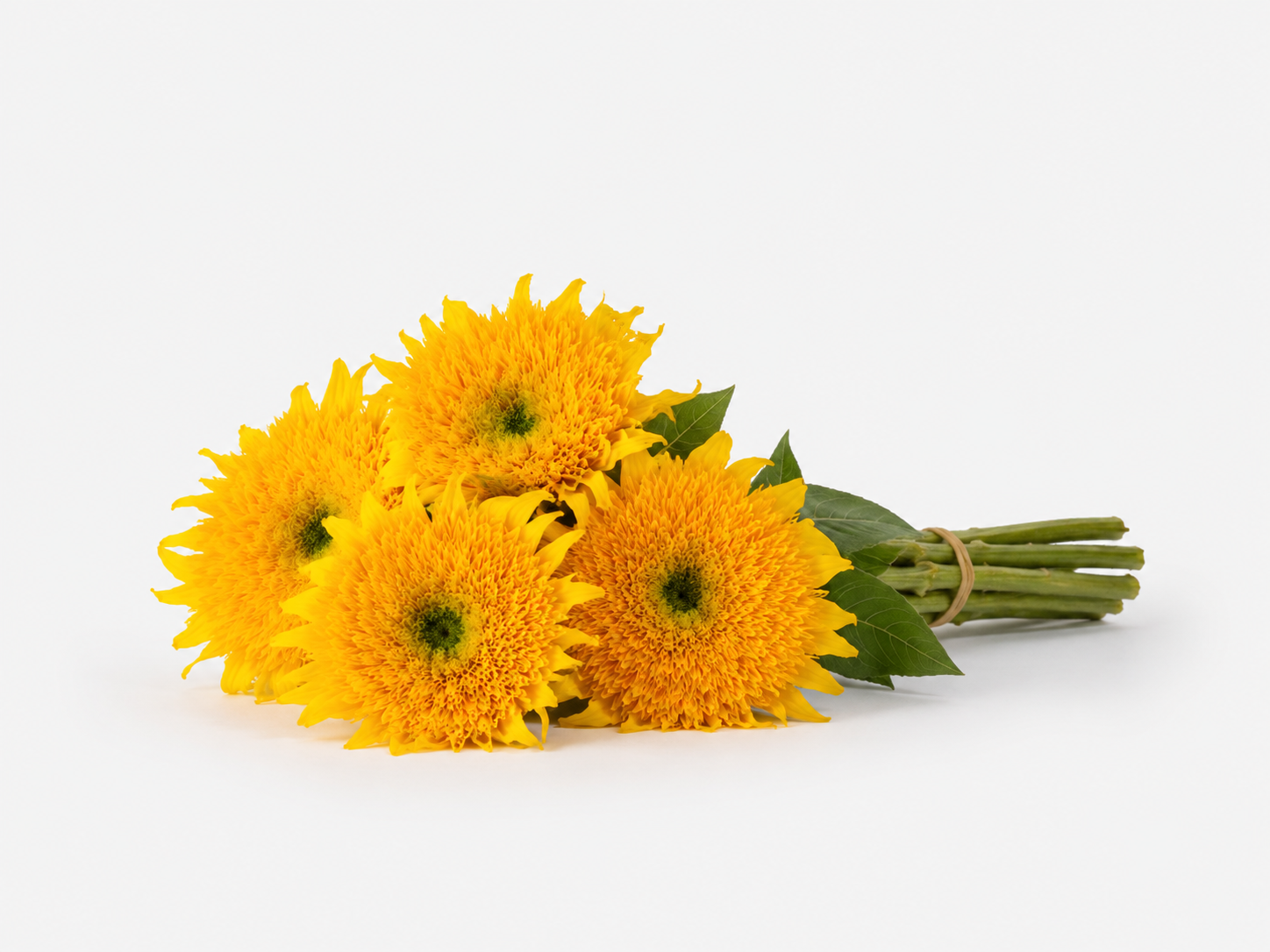 Stems Only Subscription - Starting from $45 + shipping