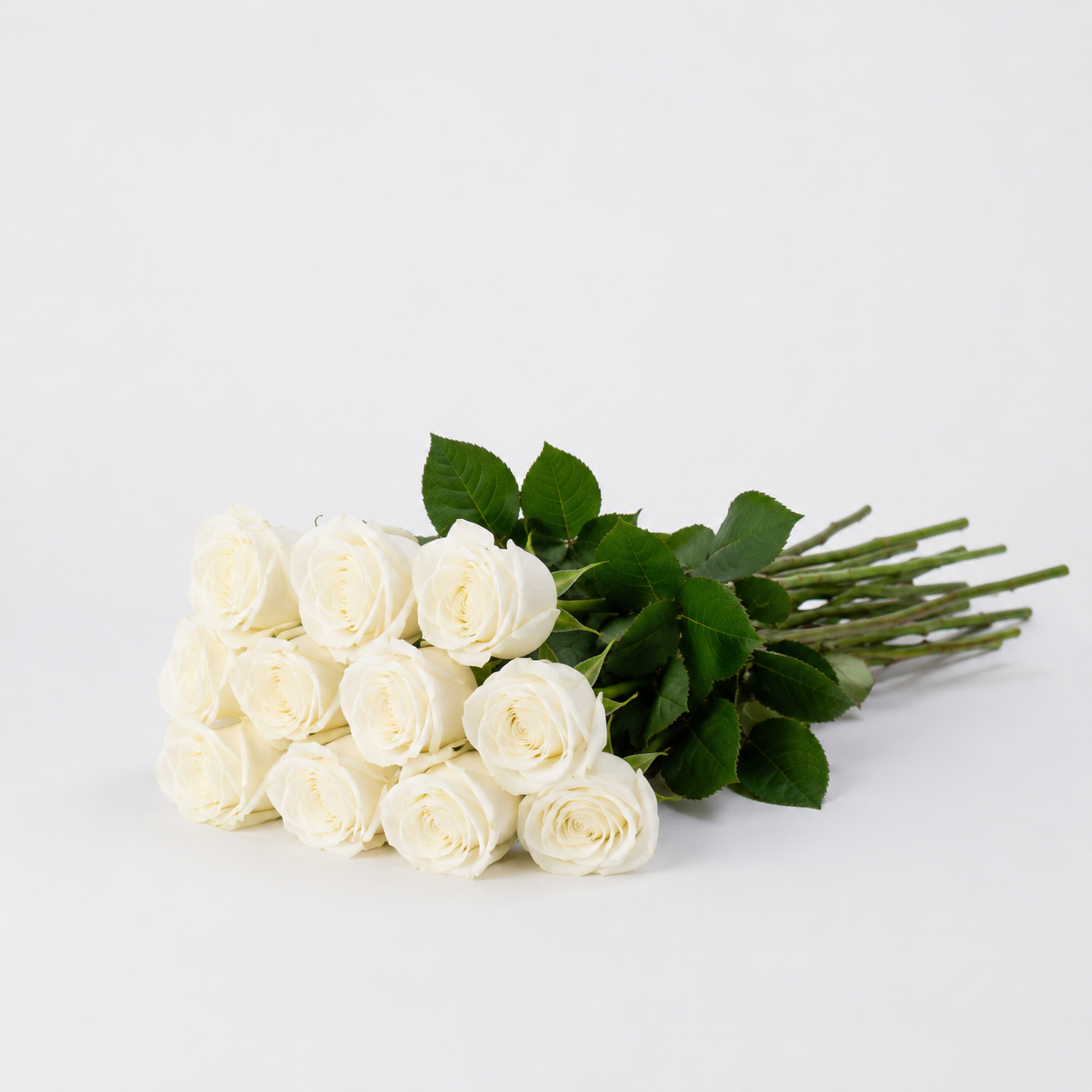 Stems Only Subscription - Starting from $45 + shipping