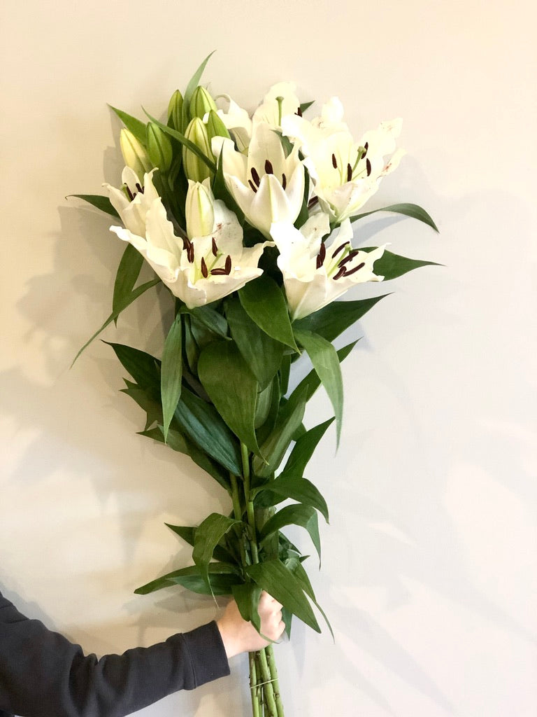 White Oriental Lillies"