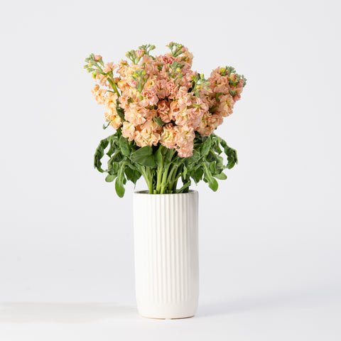 The Timeless Bouquet (For Testing)