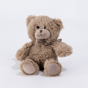 Teddi the Teddy