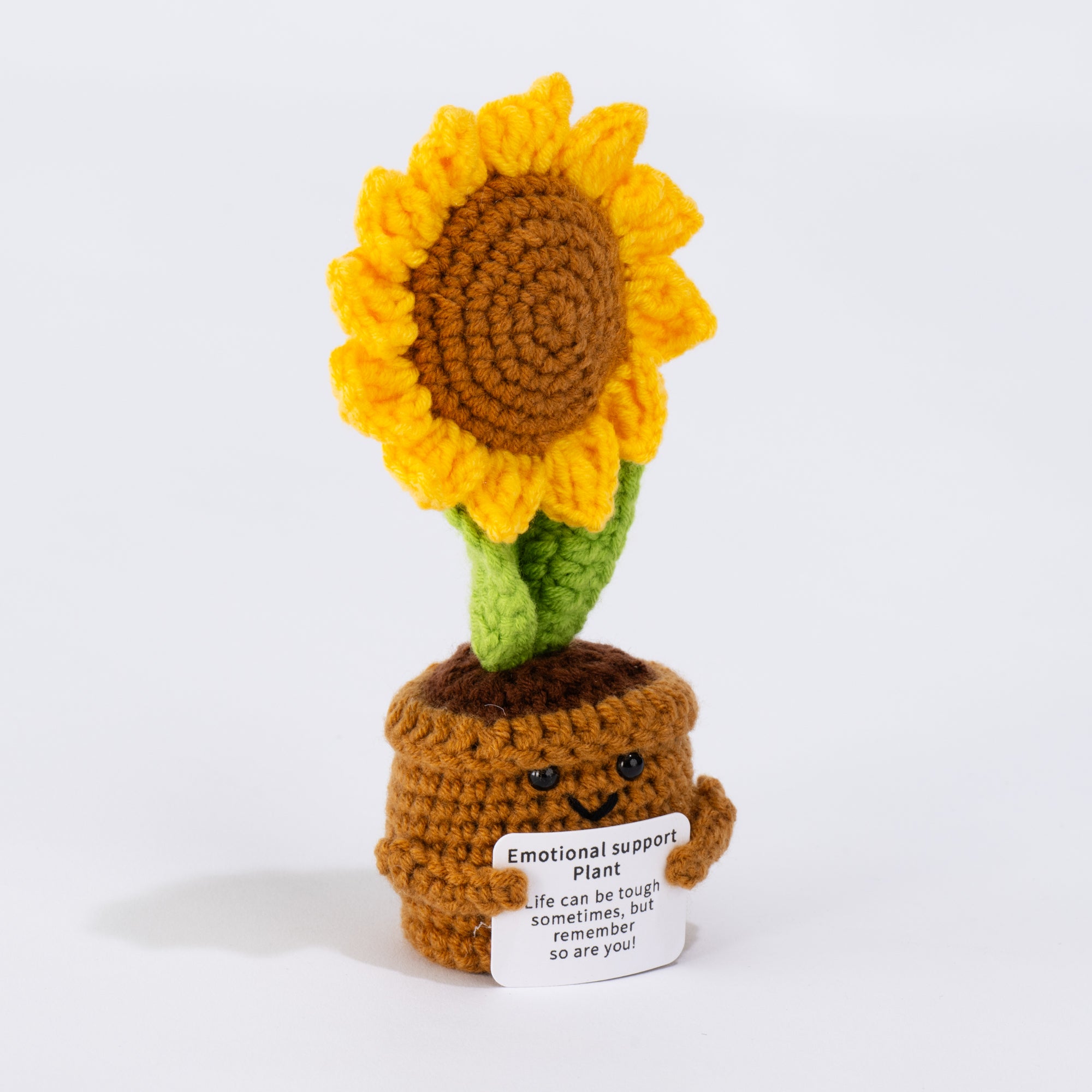 Little Ray of Sunshine