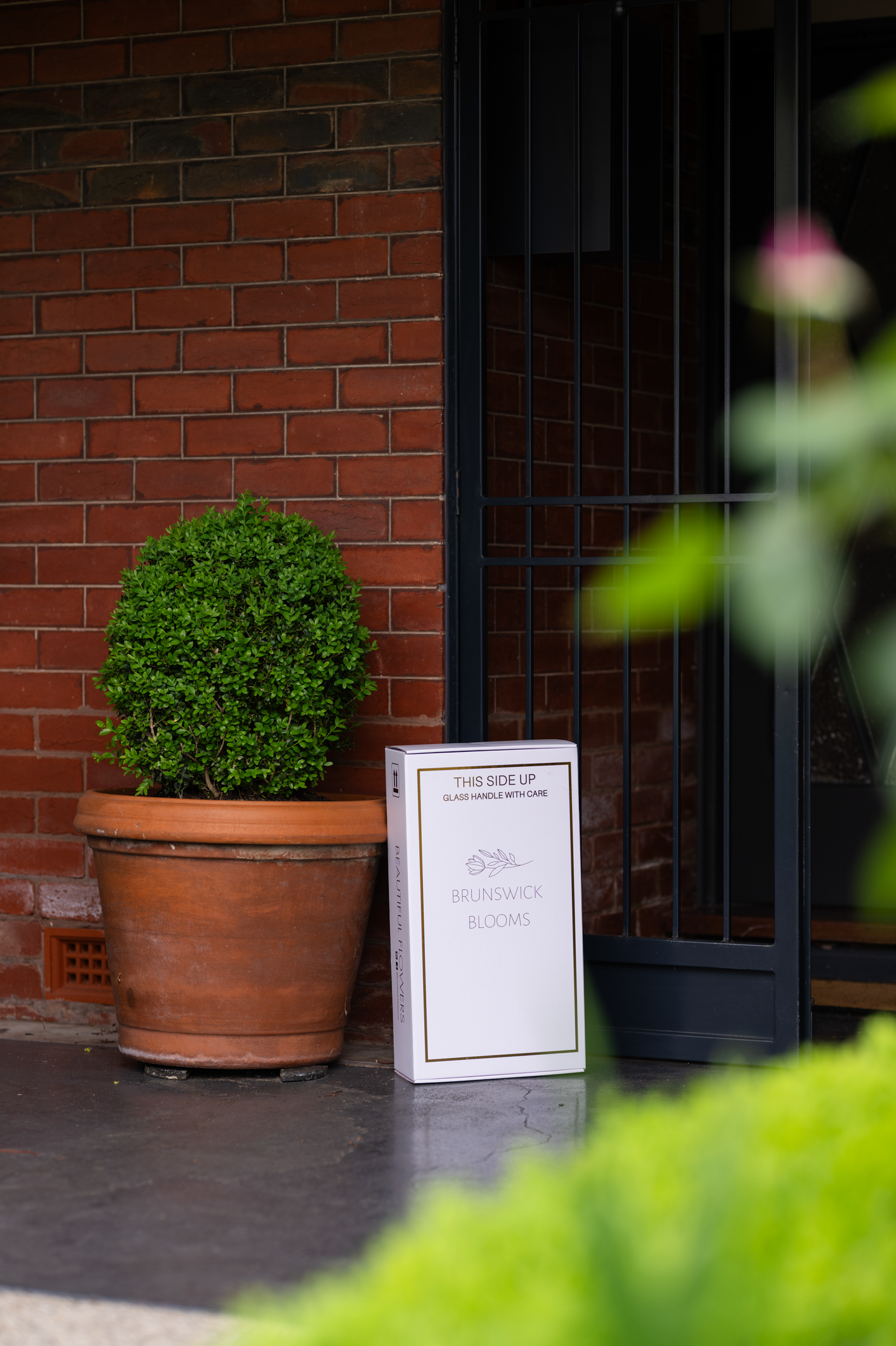 Valentine’s Day Exclusive Bundle: Golden Royale Gift Box PREORDER