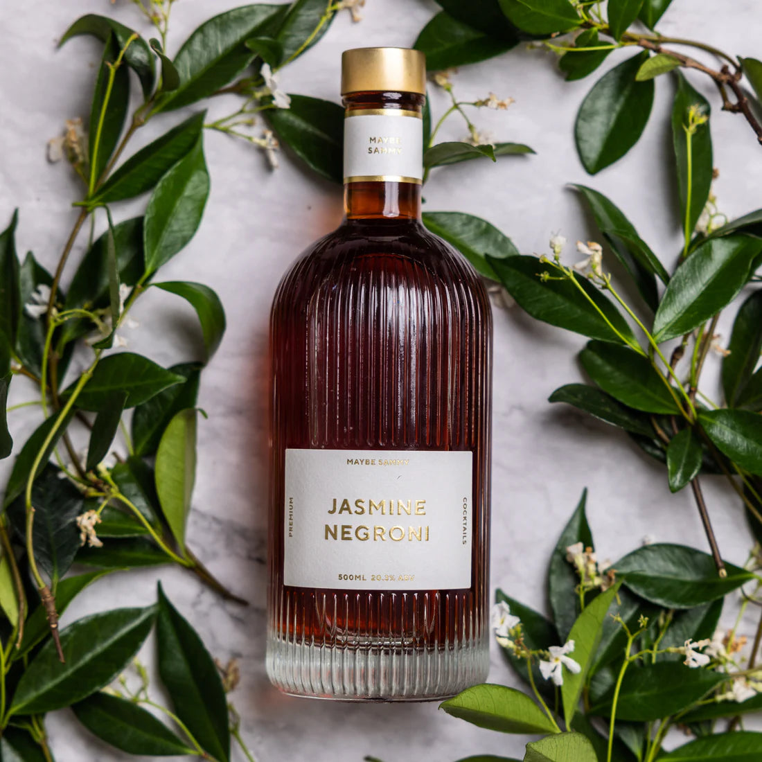 Maybe Sammy -Jasmine Negroni