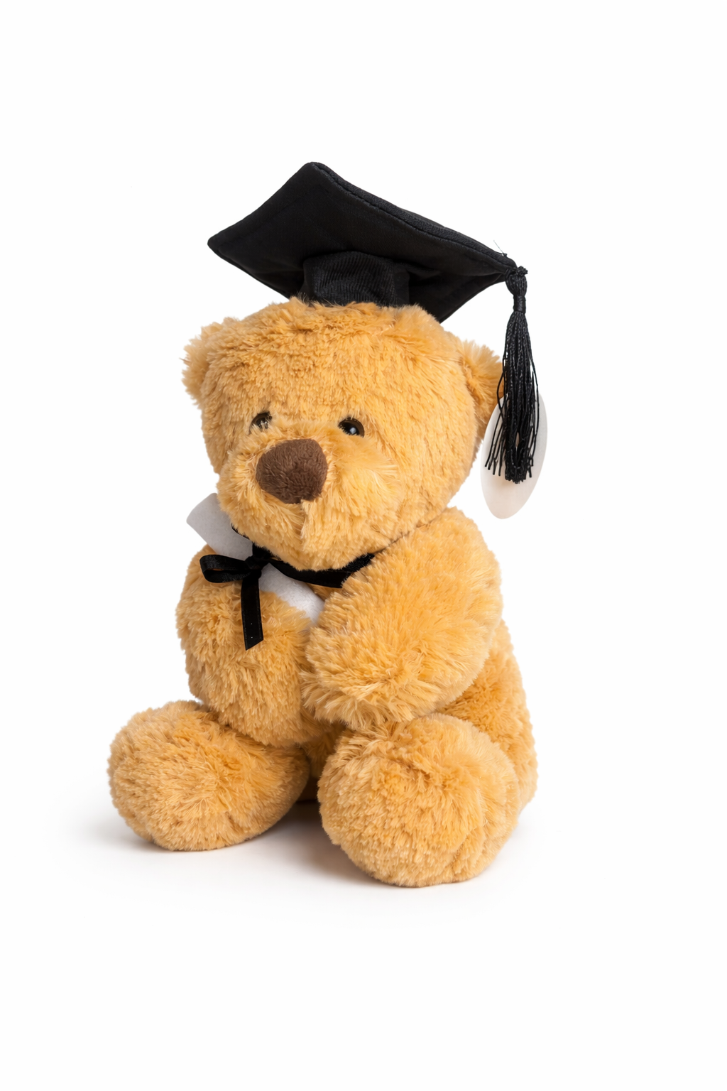 Graduation Bear