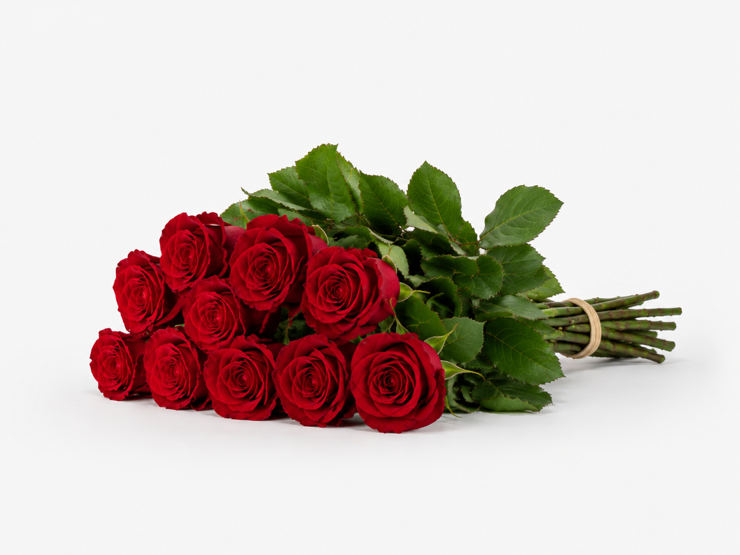Stems Only Subscription - Starting from $45 + shipping