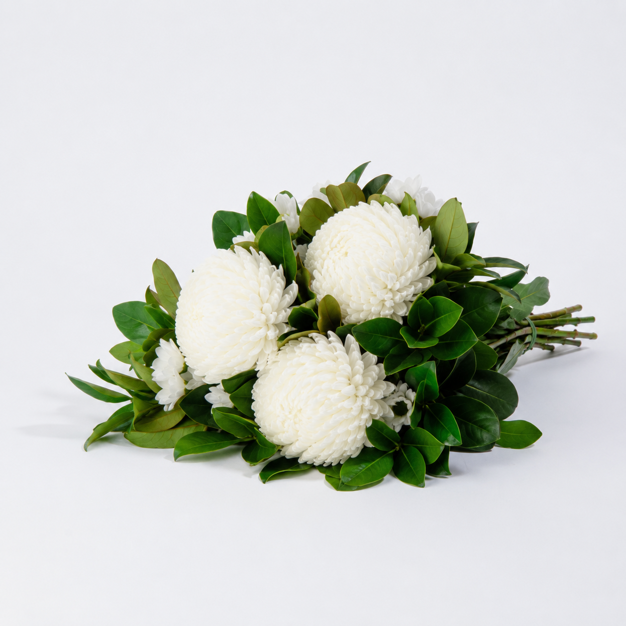Stems Only Subscription - Starting from $45 + shipping
