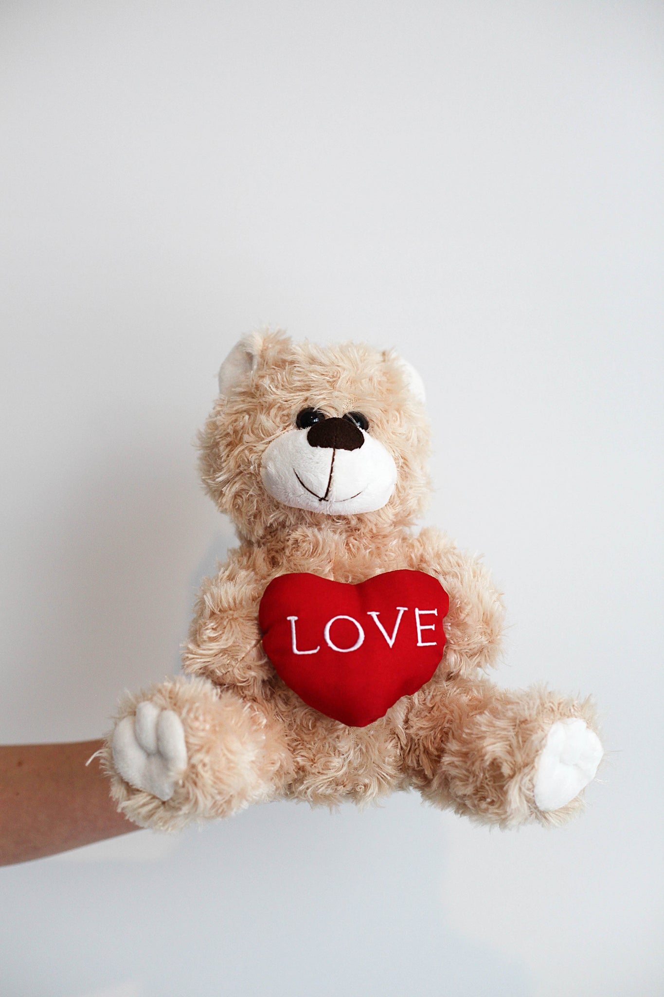 LOVE Teddy