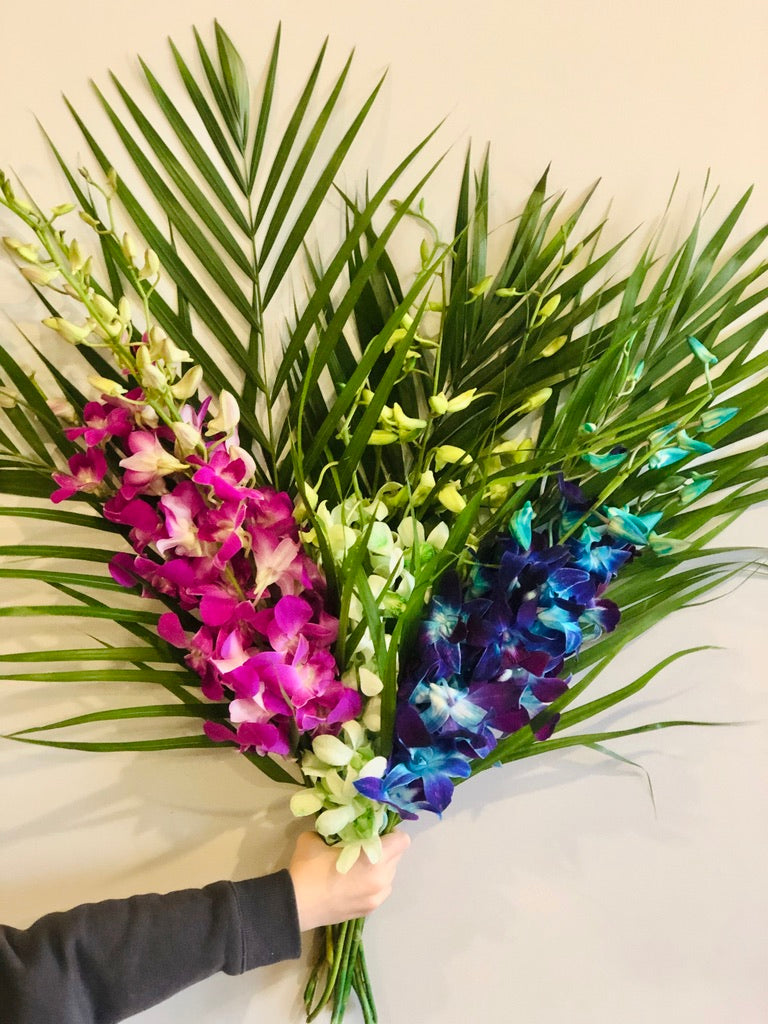 Singapore Orchids