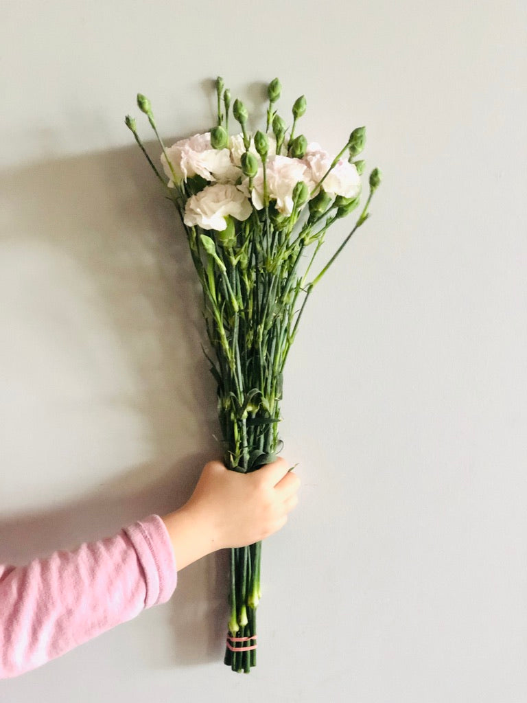 Part of the carnation family, the 'Sim' carnation has a crumpled petals that give a velvety and cushiony appearance.  Get it delivered from Brunswick Blooms!