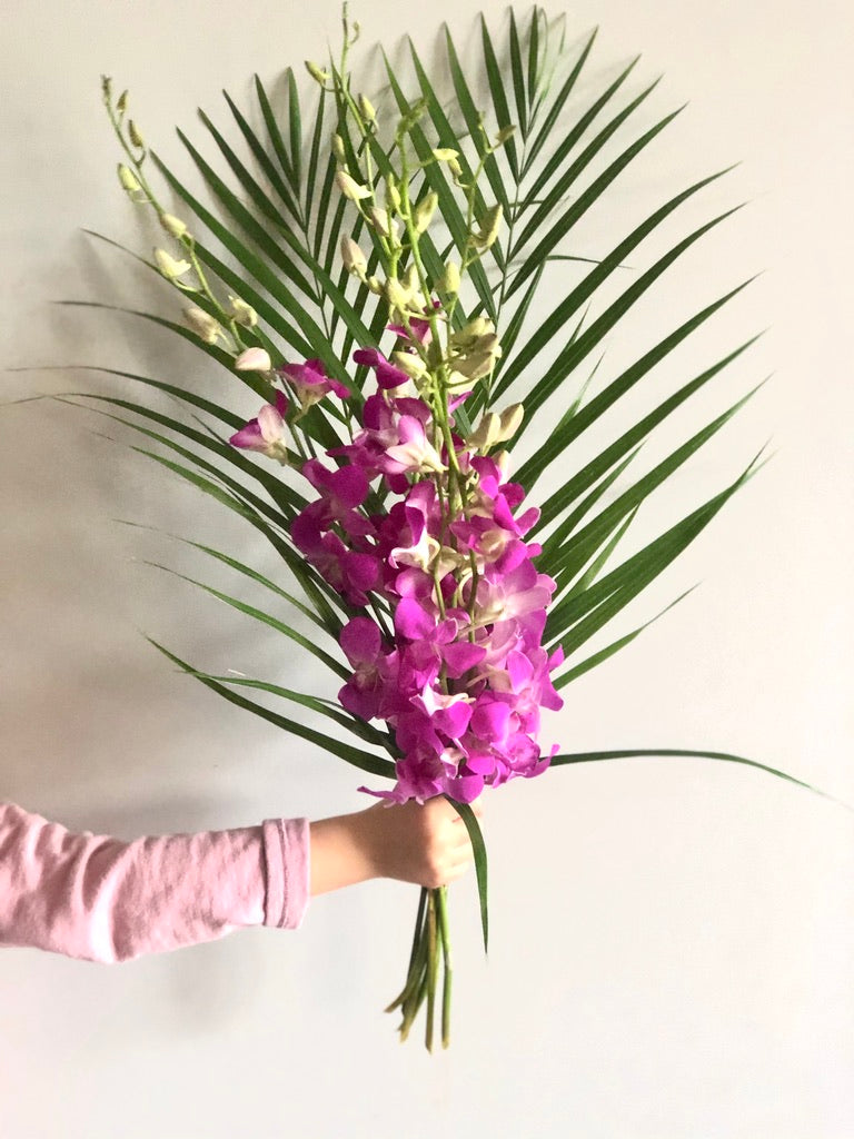 Singapore Orchids