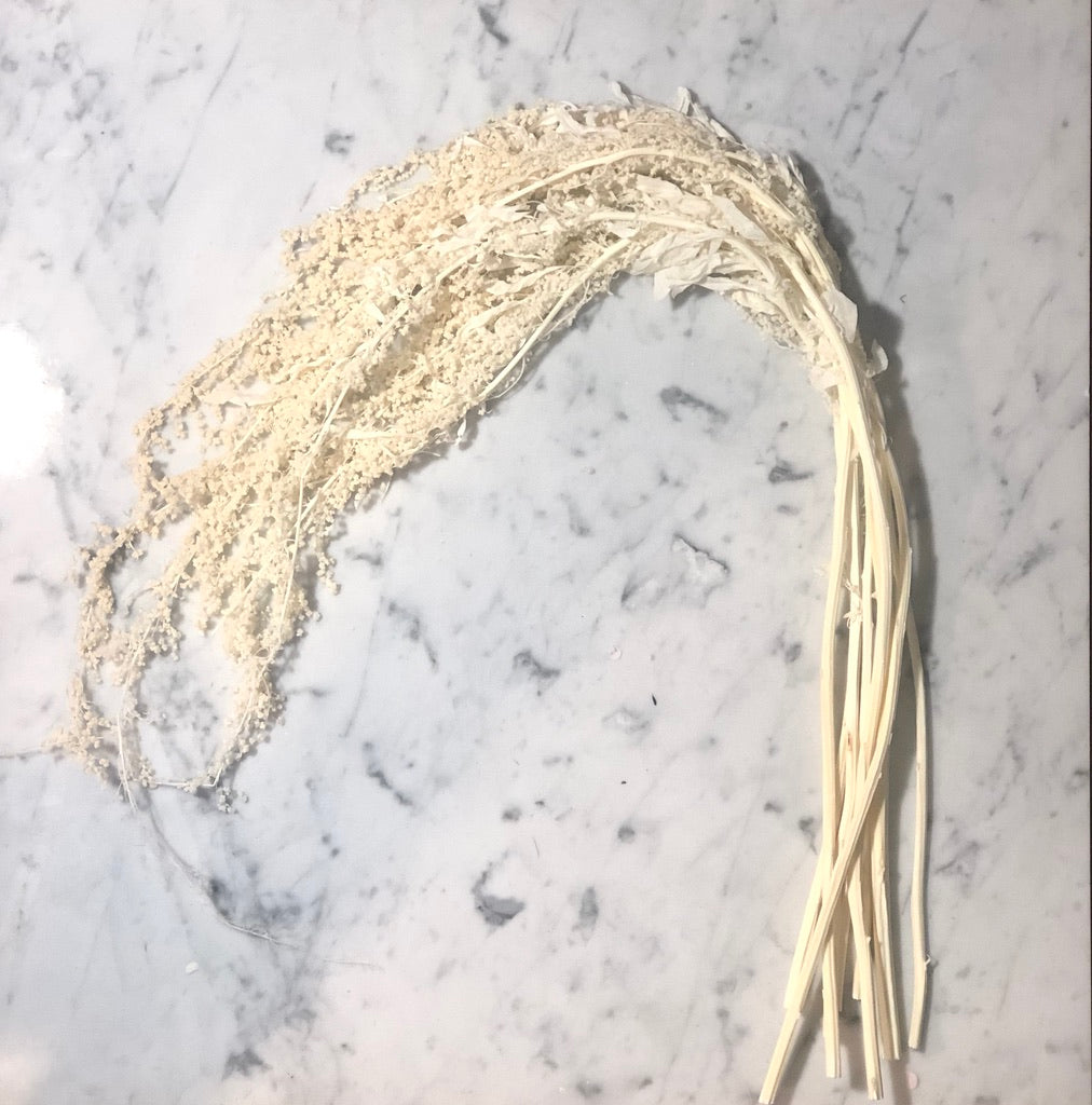 Preserved Amaranthus